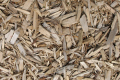 biomass boilers Trehunist