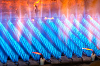 Trehunist gas fired boilers